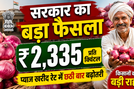 Pyaj Kharid Par Sarkar Ka Bada Faisla