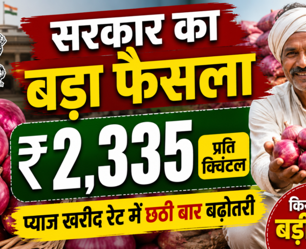 Pyaj Kharid Par Sarkar Ka Bada Faisla