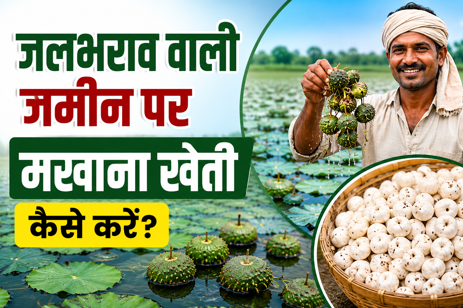 जानें खेती का सही तरीका, लागत, कमाई और पूरी जानकारी Jalbharav Wali Zameen Par Makhana Ki Kheti Kaise Kare?