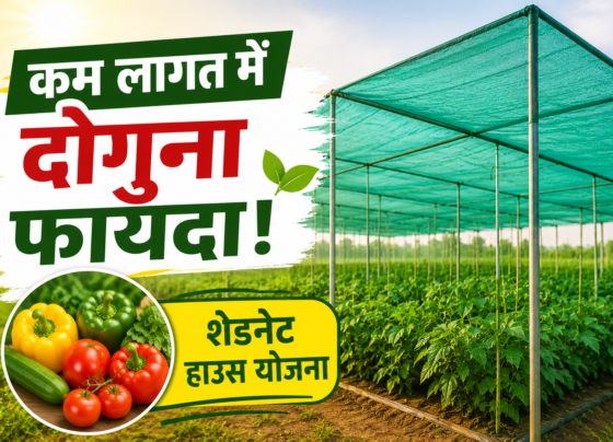 Ultra Low Cost Shade Net House Yojana
