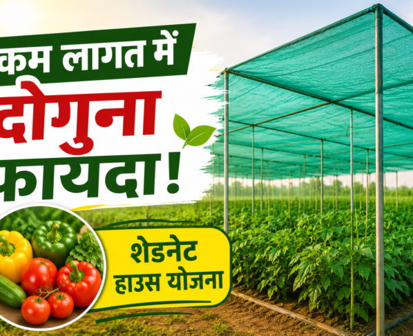 Ultra Low Cost Shade Net House Yojana