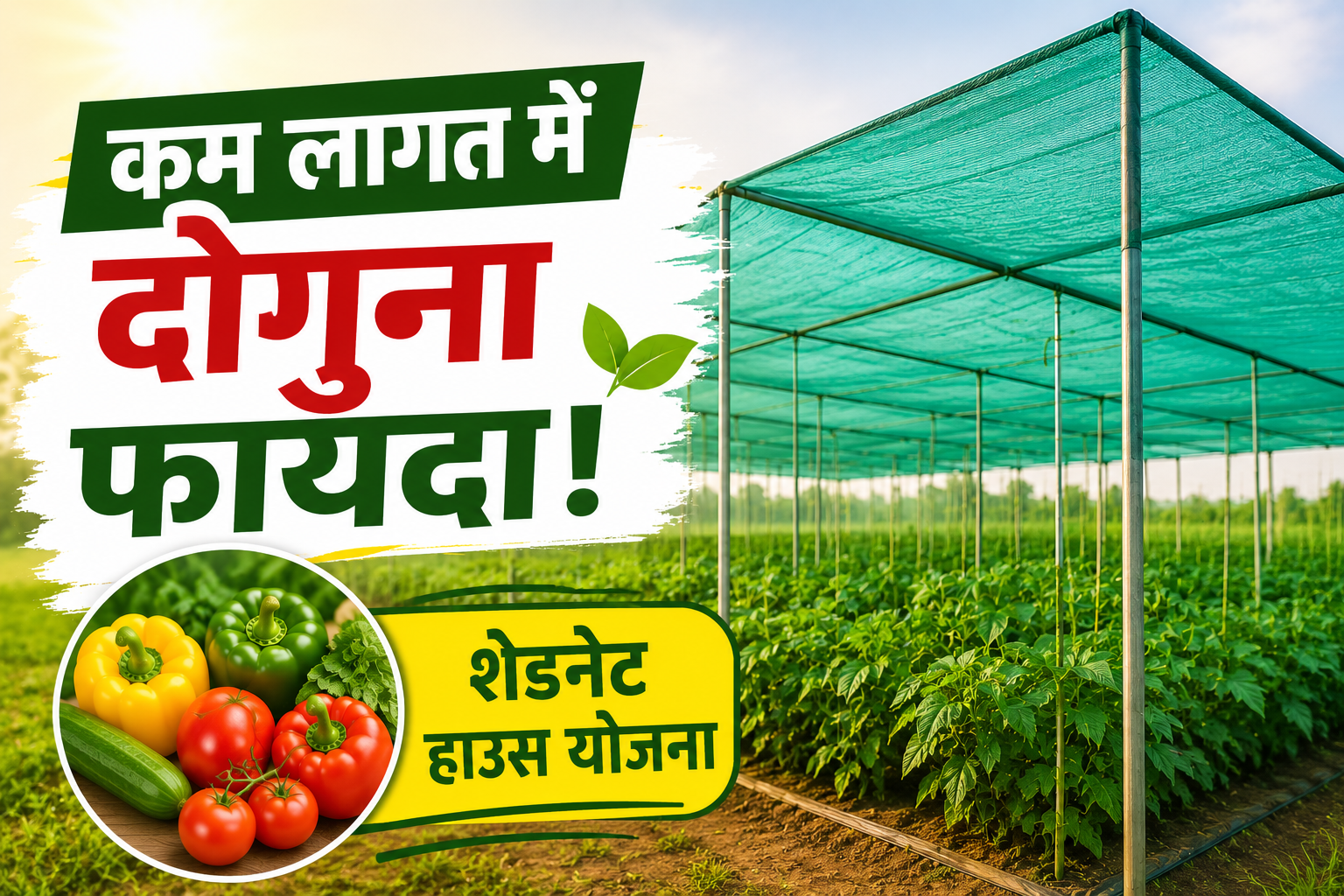 ₹1.35 लाख में आधुनिक खेती, किसानों को मिलेगा दोगुना फायदा Ultra Low Cost Shade Net House Yojana