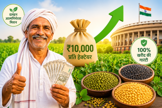 Dalhan Ki Kheti Par Sarkar Ka Bada Abhiyan