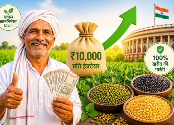 Dalhan Ki Kheti Par Sarkar Ka Bada Abhiyan