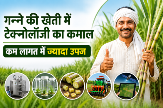 Ganne Ki Kheti Me Modern Technology Kaise Badhaye Upaj