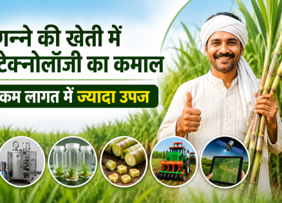 Ganne Ki Kheti Me Modern Technology Kaise Badhaye Upaj