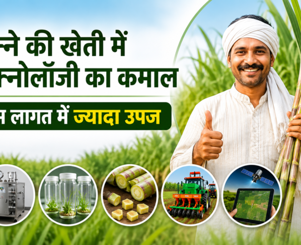 Ganne Ki Kheti Me Modern Technology Kaise Badhaye Upaj