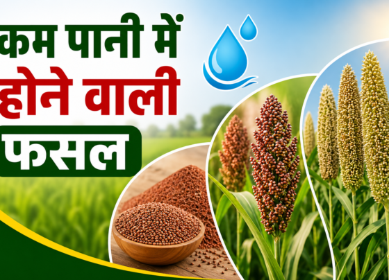 Kam Pani Me Hone Wali Fasal