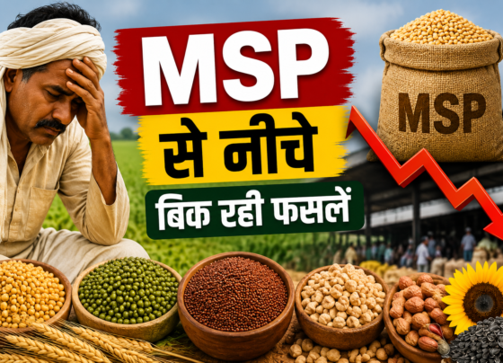 MSP Se Neeche Bik Rahi Fasalen