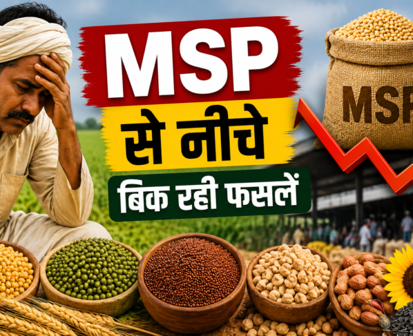 MSP Se Neeche Bik Rahi Fasalen