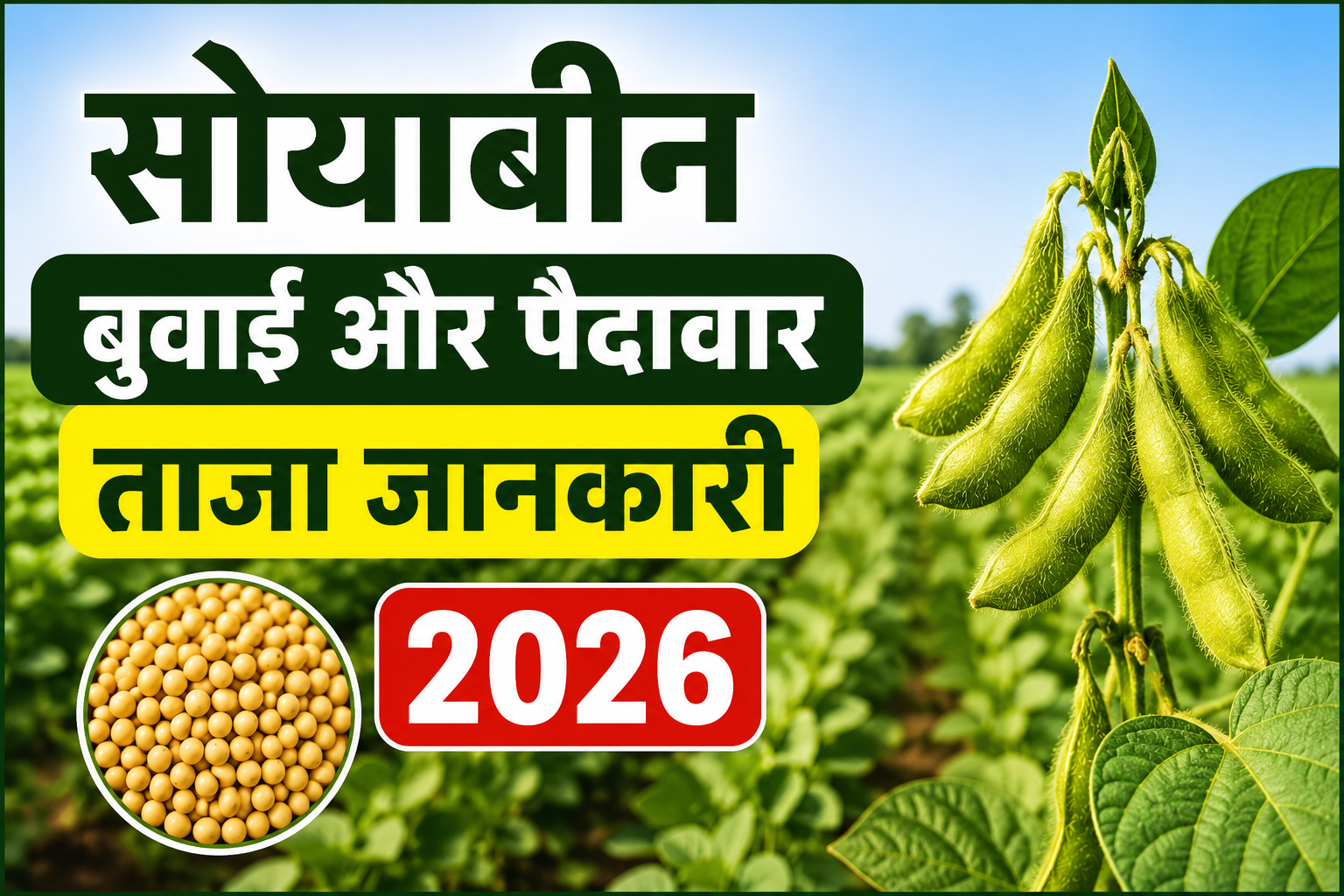 111 लाख हेक्टेयर पार बुवाई, SOPA ने उत्पादन को लेकर दिया बड़ा अपडेट Soybean Ki Buwai Aur Paidavar Ki Taza Jankari 2026