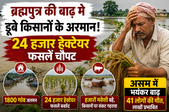 Assam Floods Me Kisanon Ki Fasalon Ka Nuksan
