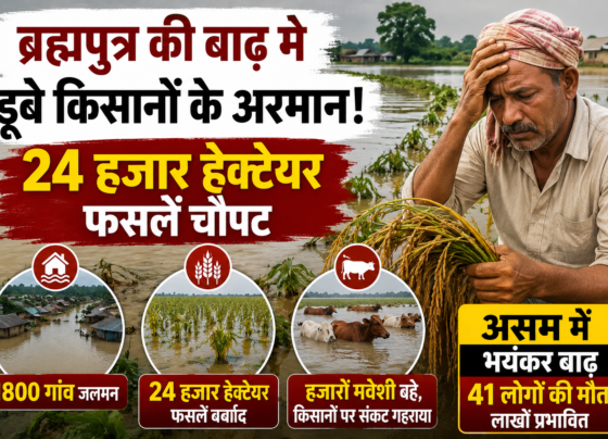 Assam Floods Me Kisanon Ki Fasalon Ka Nuksan