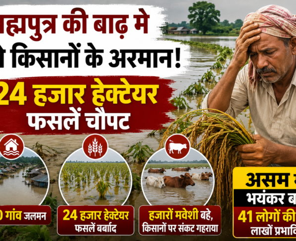 Assam Floods Me Kisanon Ki Fasalon Ka Nuksan