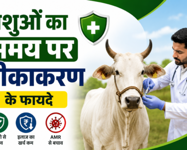 Pashuon Ka Samay Par Teekakaran Ke Fayde