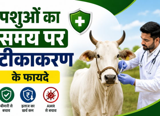 Pashuon Ka Samay Par Teekakaran Ke Fayde
