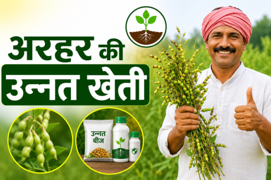 Arhar Ki Unnat Kheti Kaise Kare