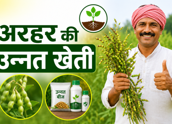 Arhar Ki Unnat Kheti Kaise Kare