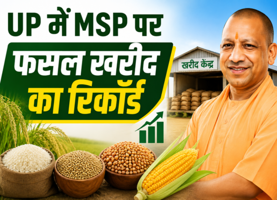 UP Me MSP Par Fasal Kharid Record