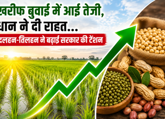 Kharif Bunai Me Aayi Tezi