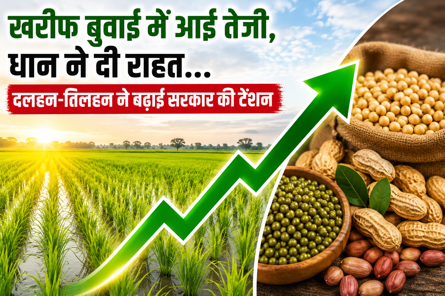 धान की बुवाई ने दी राहत, दलहन-तिलहन की धीमी रफ्तार से बढ़ी सरकार की चिंता Kharif Bunai Me Aayi Tezi