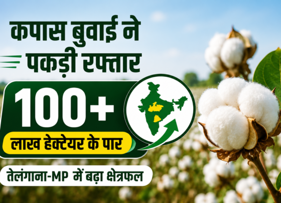 Kapas Buwai Ka Rakba 100 Lakh Hectare Ke Paar 2026