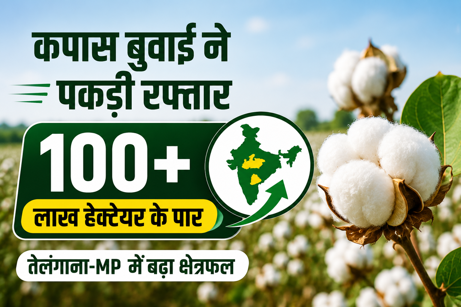 मॉनसून के बाद तेज हुई कपास बुवाई, तेलंगाना और MP में बढ़ा रकबा Kapas Buwai Ka Rakba 100 Lakh Hectare Ke Paar 2026