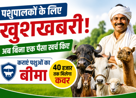 Mukhyamantri Mangla Pashu Bima Yojana Rajasthan