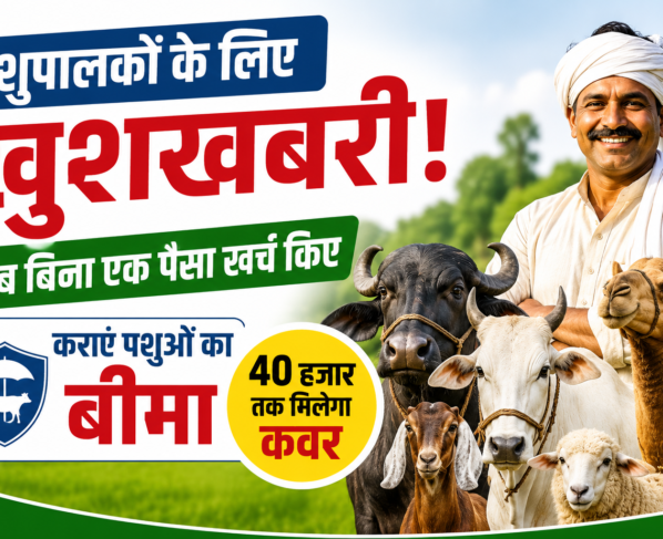Mukhyamantri Mangla Pashu Bima Yojana Rajasthan