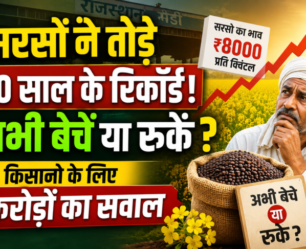 Sarson Ke Daam Abhi Beche Ya Ruke
