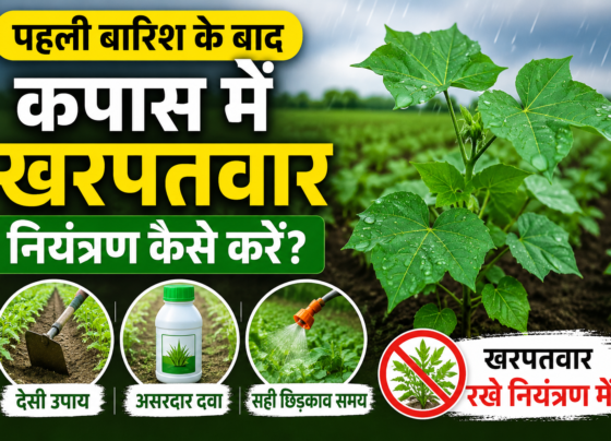 Kapas Me Kharpatwar Control Kaise Kare