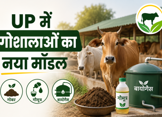 UP Mein Goshala Ka Sthai Model Kaise Kaam Karega
