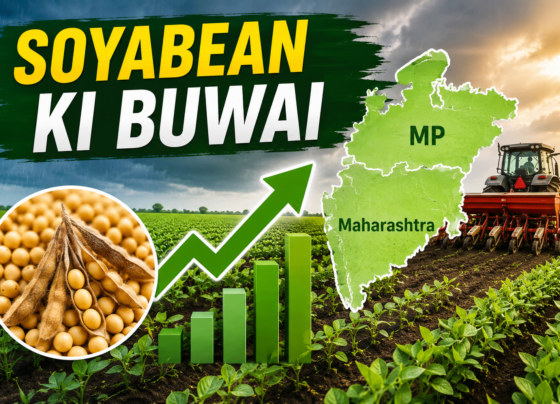 Soyabean Ki Buwai