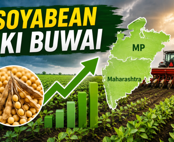 Soyabean Ki Buwai