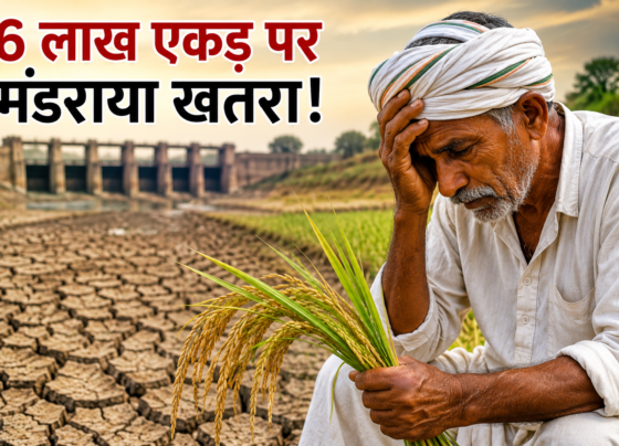 Tamil Nadu Paddy Farmers