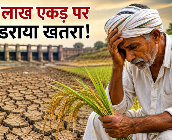 Tamil Nadu Paddy Farmers