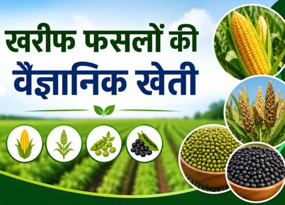 Kharif Fasalo Ki Vaigyanik Kheti