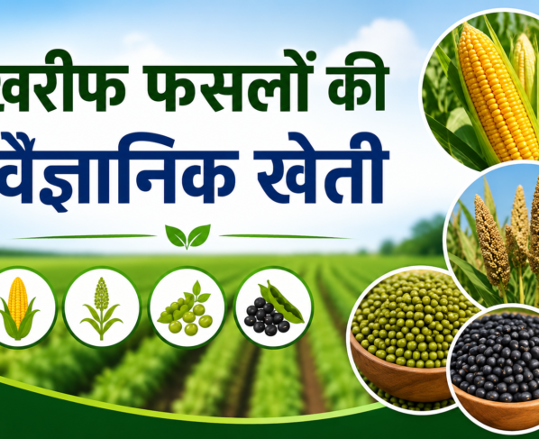 Kharif Fasalo Ki Vaigyanik Kheti