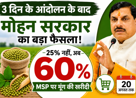 MP Mein MSP Par Moong Ki Kharidi 60 Percent Hui