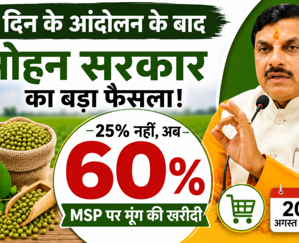 MP Mein MSP Par Moong Ki Kharidi 60 Percent Hui