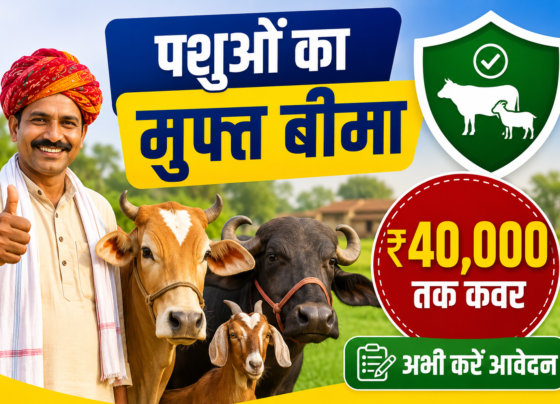Mukhyamantri Mangla Pashu Bima Yojana Apply Online Kaise Kare?