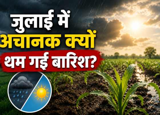 Monsoon Break Se Kharif Fasalon Par Asar