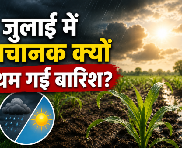 Monsoon Break Se Kharif Fasalon Par Asar