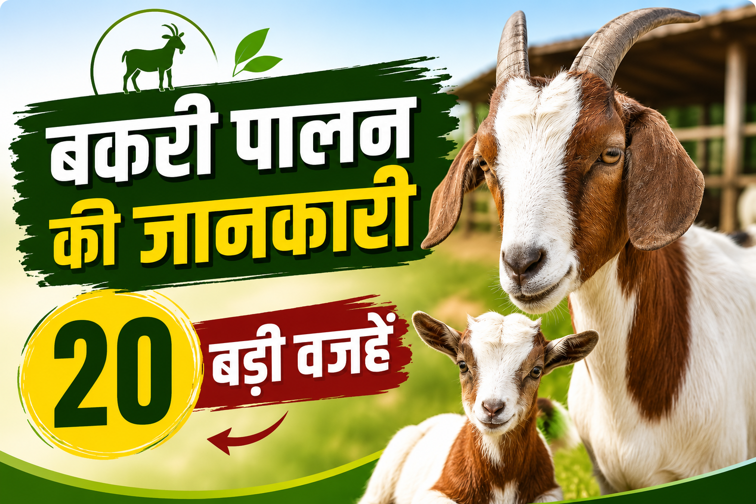 Bakri Palan Ki Jankari: कम लागत में बकरी पालन से होगी बंपर कमाई, जानें 20 बड़े फायदे