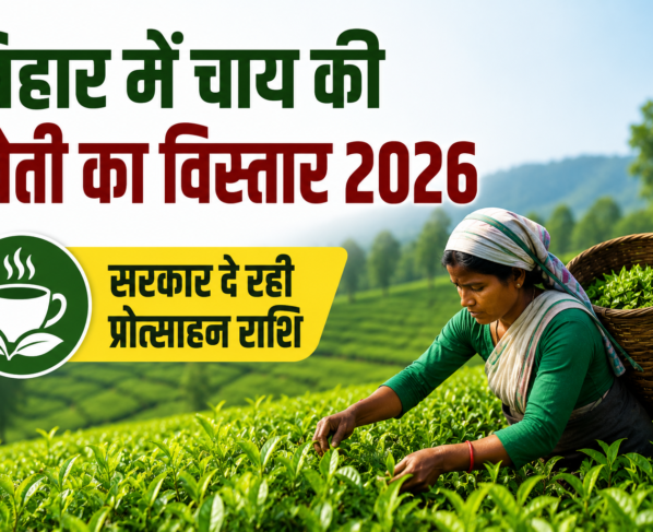 Bihar Mein Chai Ki Kheti Ka Vistar 2026