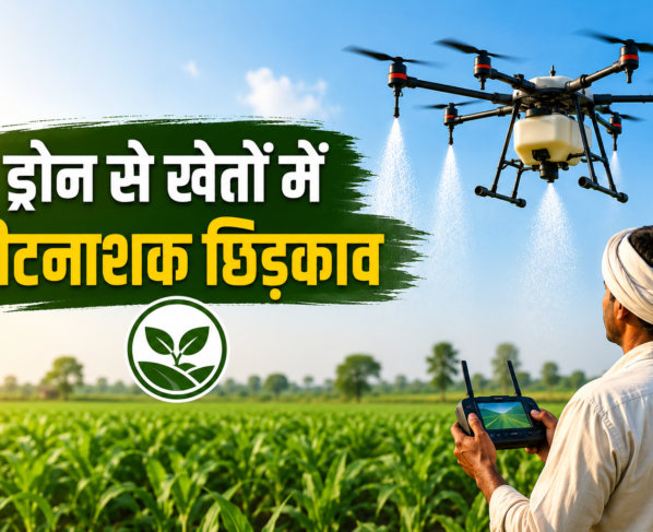 Drone Se Kheton Me Keetnashak Chhidkaav Ki Vidhi