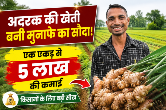 Amit Kumar Singh Ginger Farming Success Story Surguja