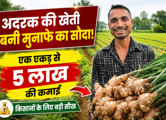 Amit Kumar Singh Ginger Farming Success Story Surguja
