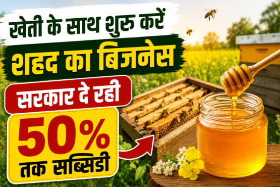 Bee Keeping Business Subsidy