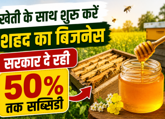 Bee Keeping Business Subsidy